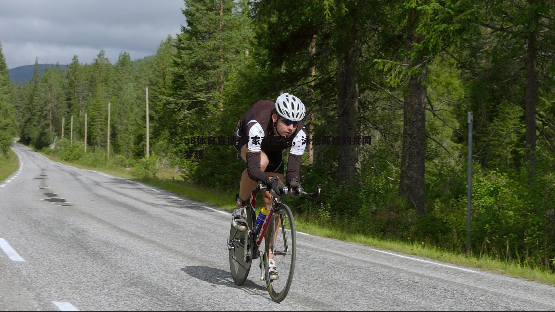 罗家双胞胎,泳池两端的共同梦想